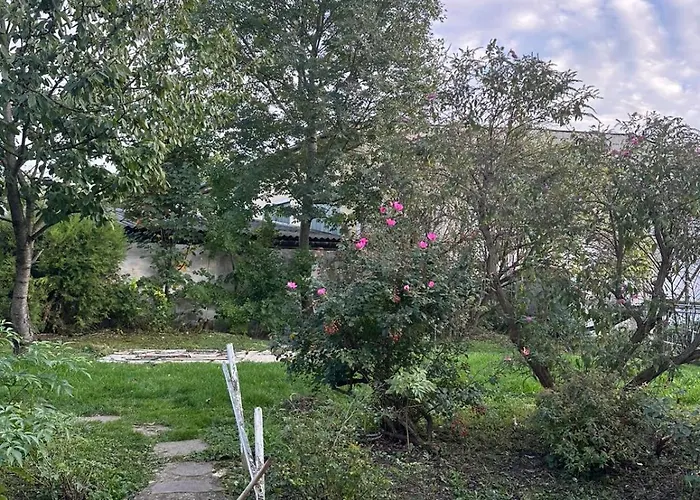 Lillys 3 In 3430 Tulln *